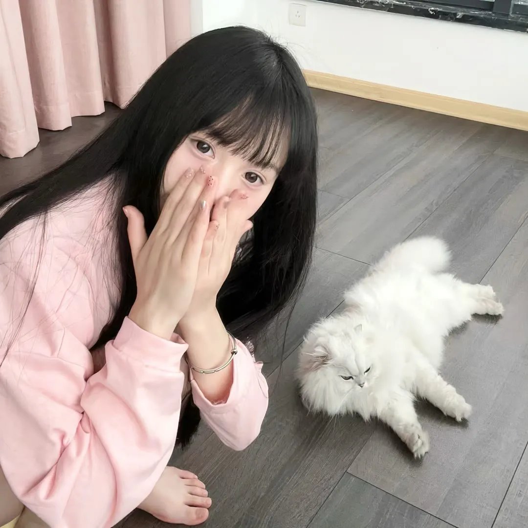 西线无战事